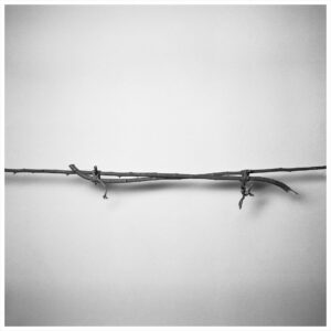 Rahgozar - photograph: tied branches against a wall